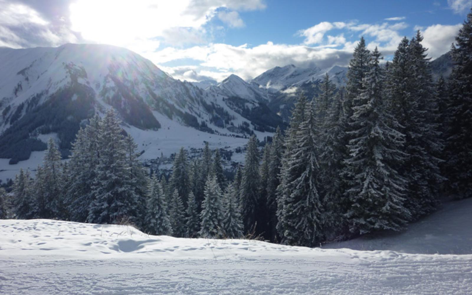 p1020509---kopie.jpg