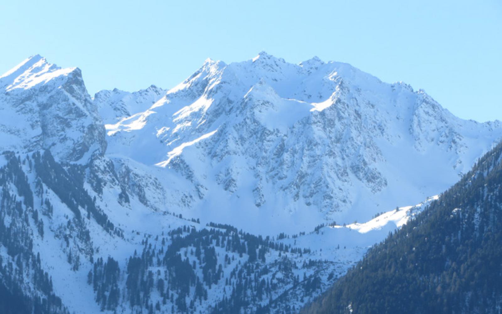 img0155.jpg