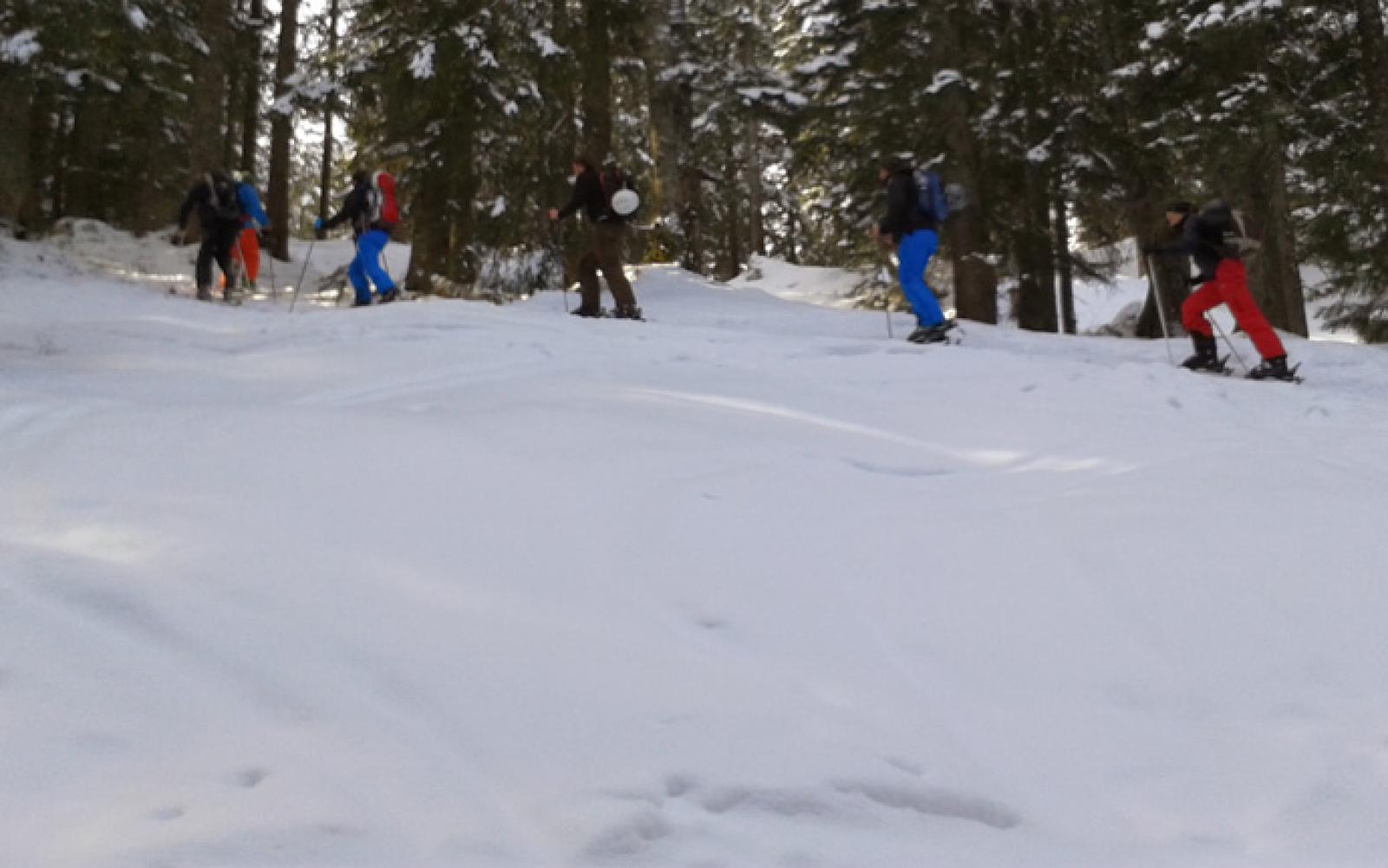 2014-02-08-11.34.44.jpg