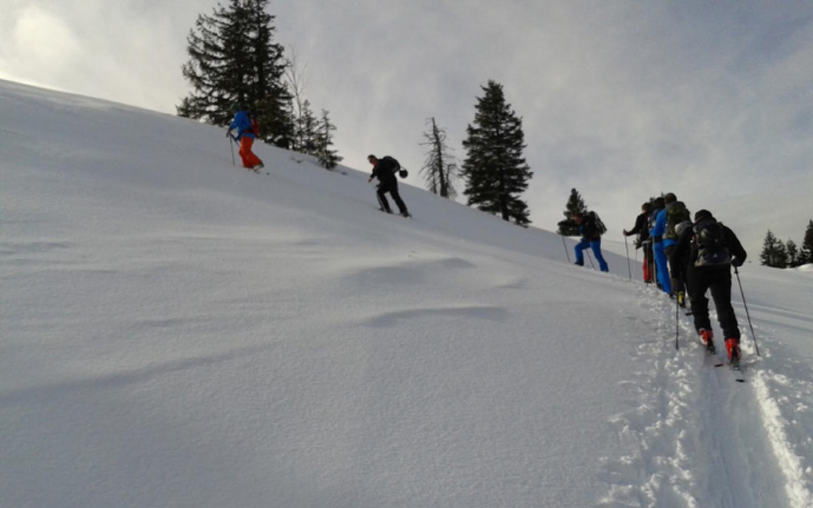 2014-02-08-12.03.33.jpg