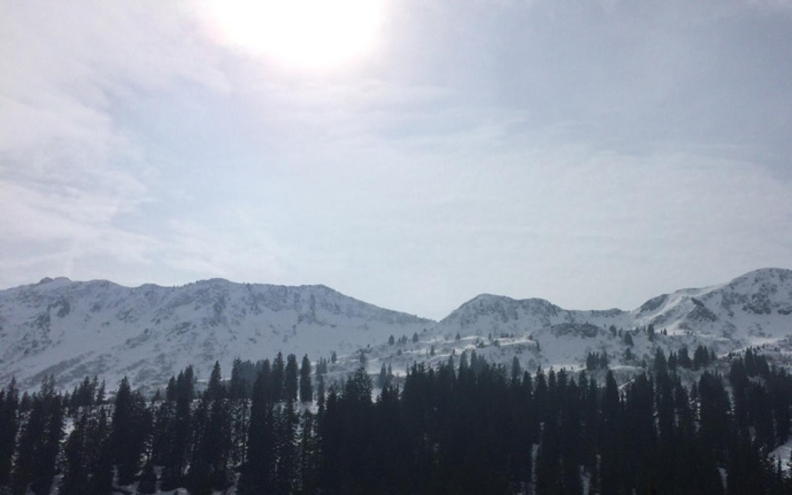 img0820.jpg