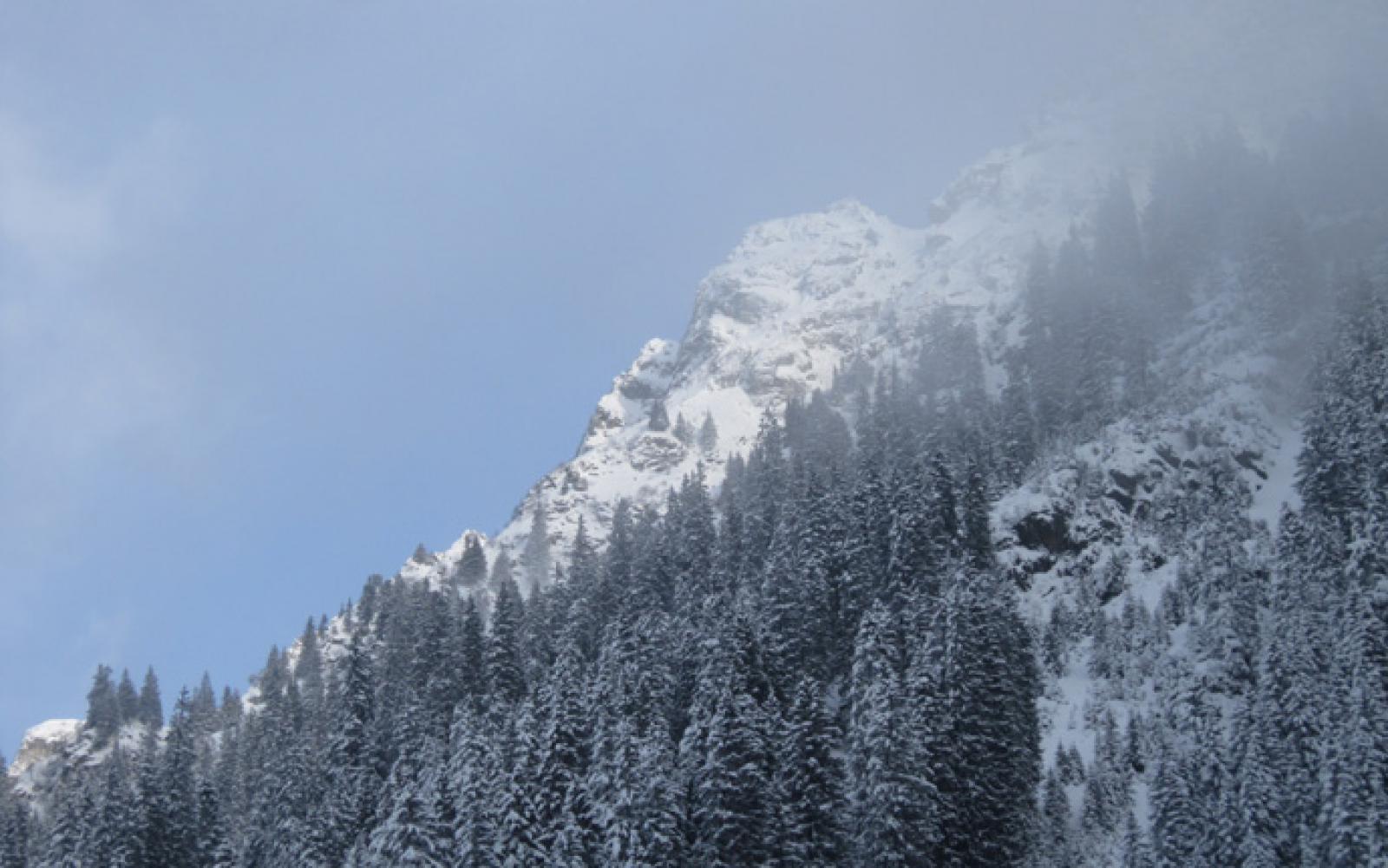 img7679.jpg