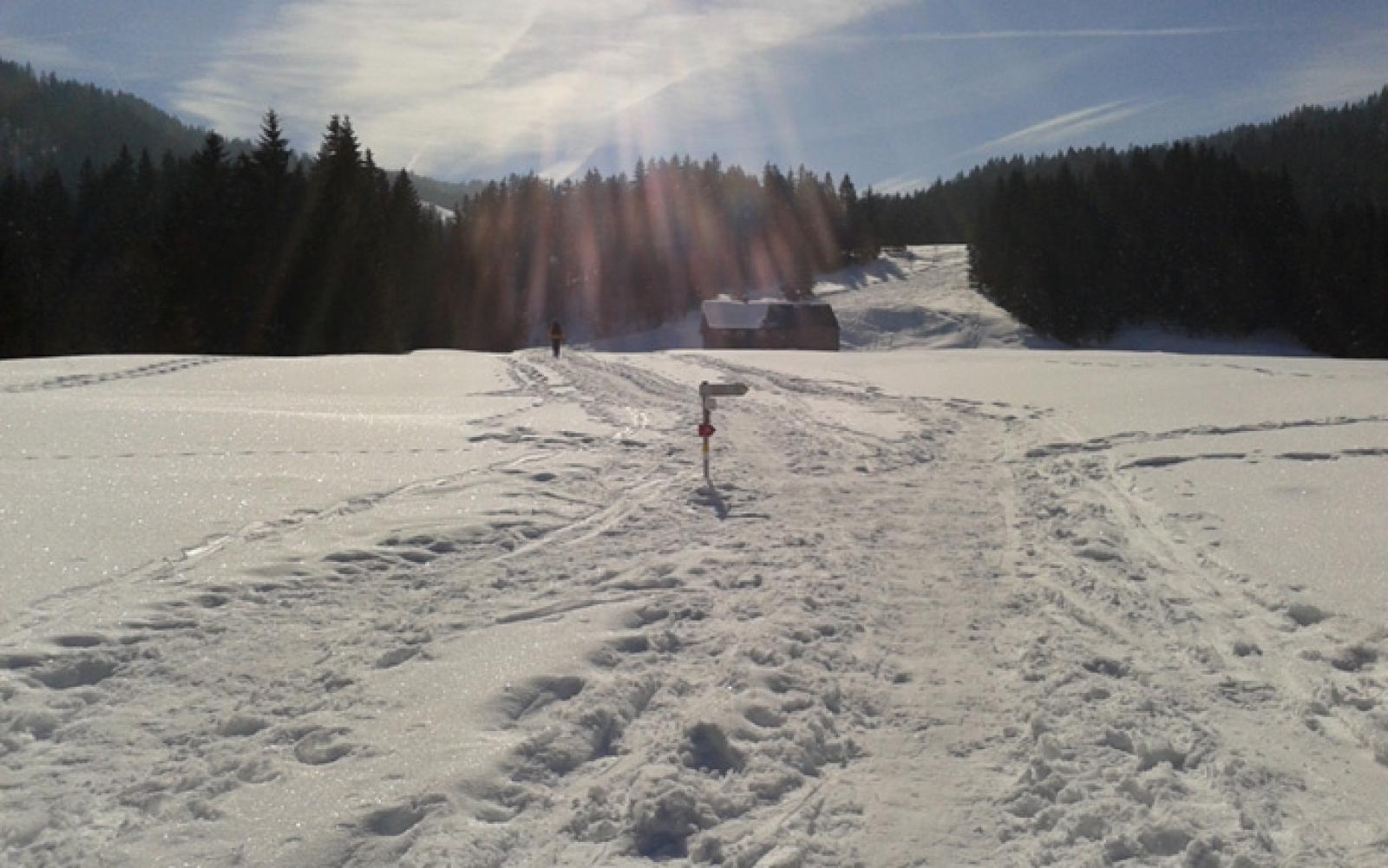 2013-03-02-11.24.41.jpg