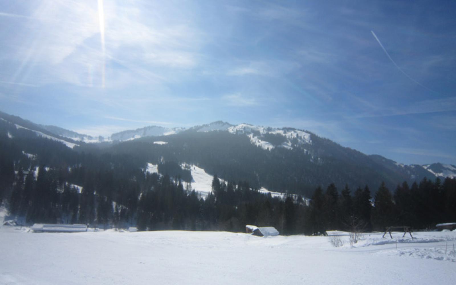 img8439.jpg