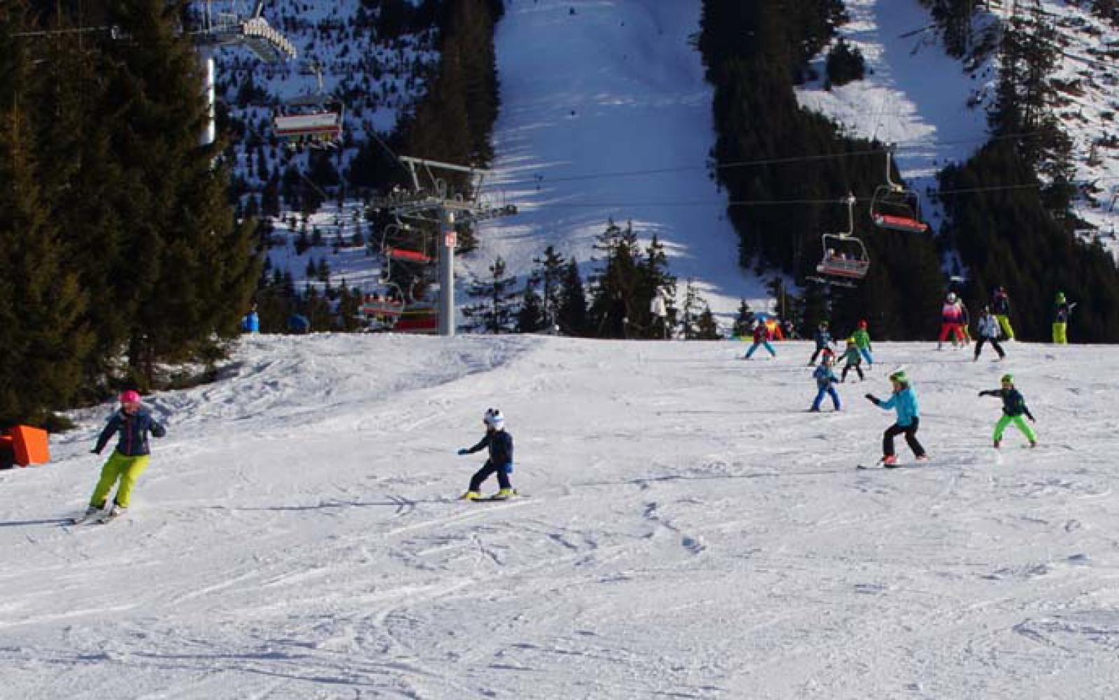 dsc00879.jpg