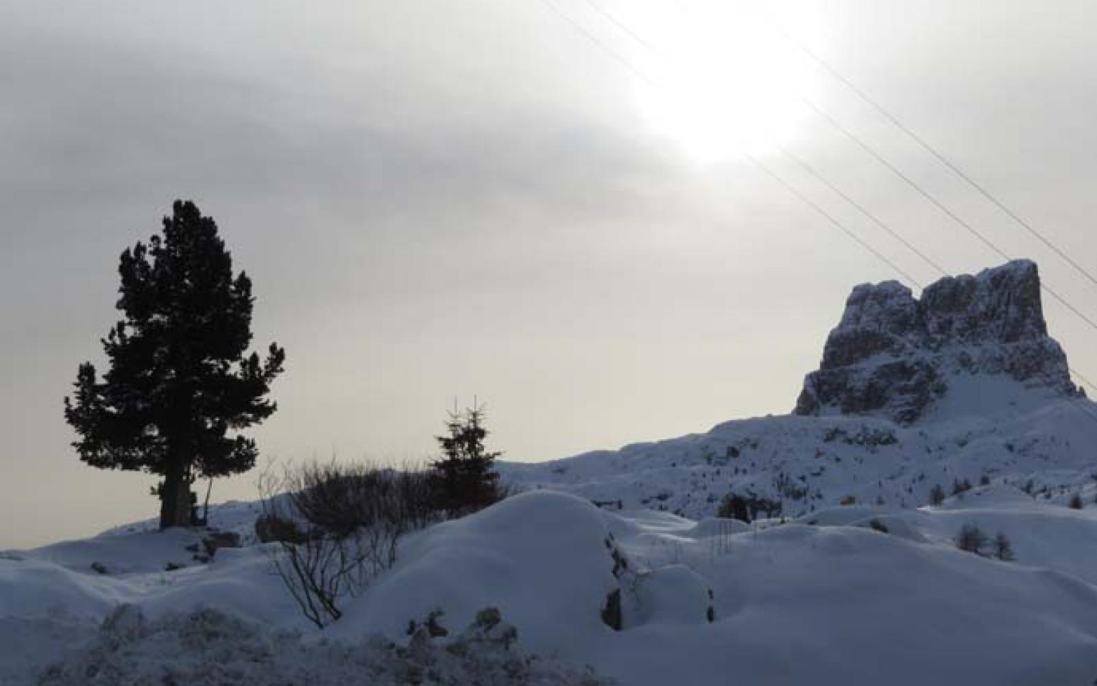 img3473.jpg